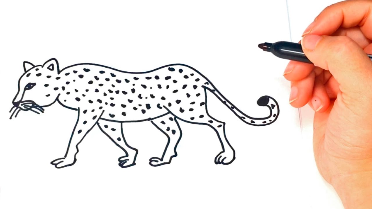 How to draw a Leopard | Leopard Easy Draw Tutorial - YouTube