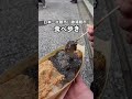 【勝浦】400年続く日本三大朝市！勝浦朝市を食べ歩き