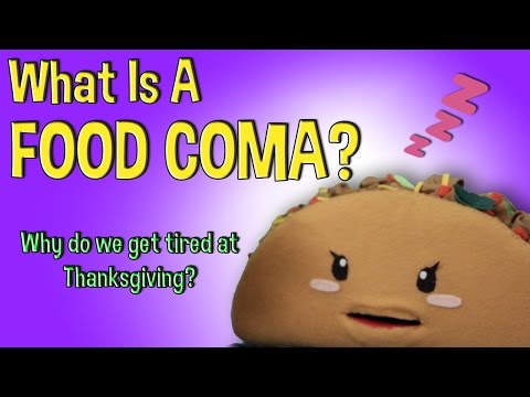What Is A Food Coma