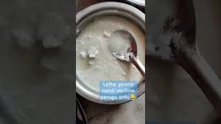 Menu of the day food trending foodie special nonveg yummy yummyfood funny