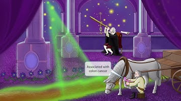 Streptococcus Gallolyticus for the USMLE Step 1