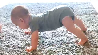 Funniest Babies Try To Crawl |Babies Are Cutest Thing In The World by We laugh 2,380 views 5 months ago 9 minutes, 44 seconds