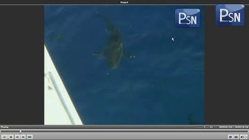 How to Add Titles & Watermarks in videos Using AVS Video Editor 6.0