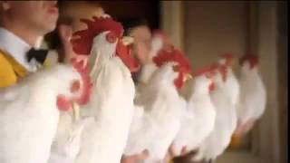 Watch Choir The Chicken video