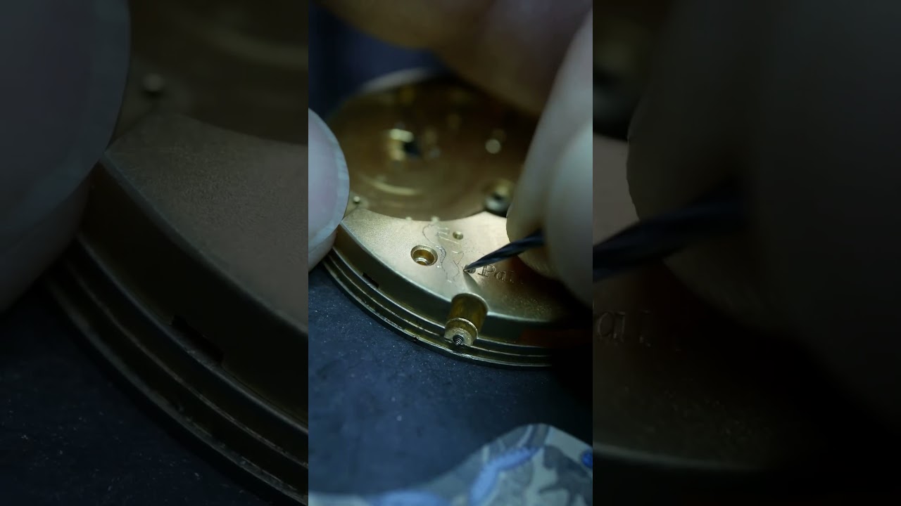 Что за зверь? Напишите в комментарии 