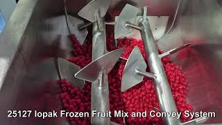 25127 Iopak Frozen Fruit Mix and Convey System