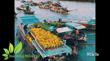 Cần Thơ gạo trắng nước trong anh đi đến đó lòng không muốn về