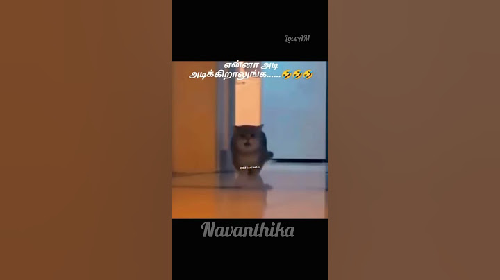 செத்த நேரம் ஆள் கூட பேசலாம் வந்தா#viral #funny #shortvideos #tamil #catvideos #comedy #funnypet