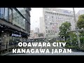 Driving in Odawara City, Kanagawa - 4K Japan Drive ASMR - Rainy Day