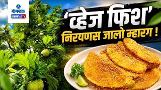 Breadfruit High Rate - ‘Veg Fish’ Breadfruit Sees High Demand in Goa | Gomantak Tv