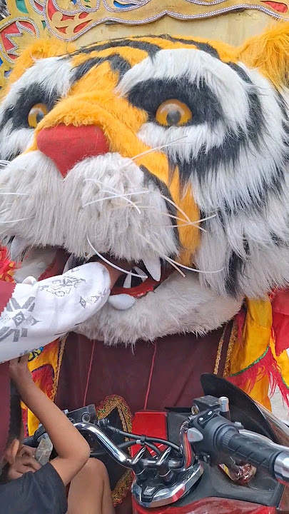 Barongan nyaplok tangan