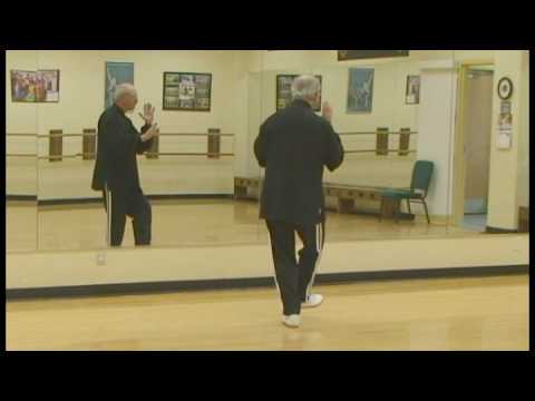 40 Form Taiji Full Form