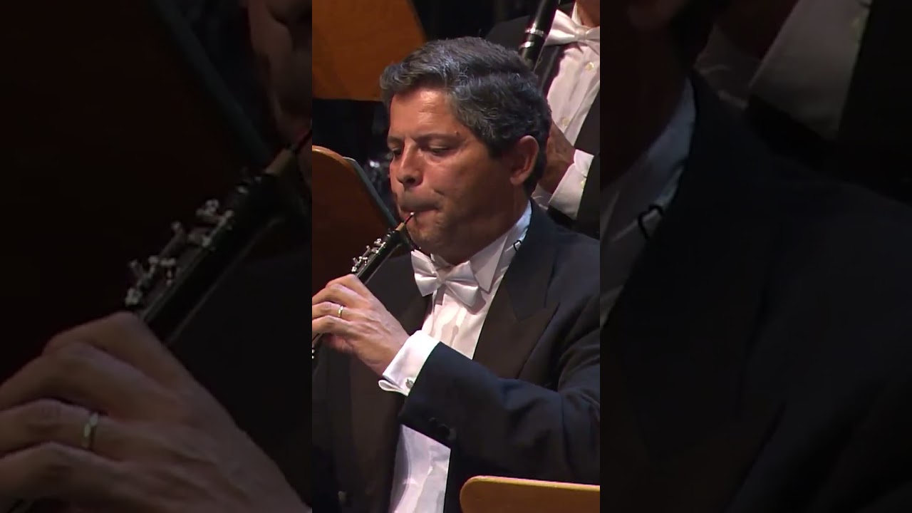 Orquestra Sinfonietta de Lisboa - D. Giovanni KV527 (W.A. Mozart) (Ao vivo na Festa do Avante! 2022)