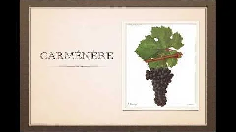 Winecast: Carménère - DayDayNews