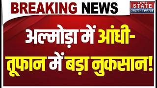 Almora में आंधी-तूफान में नुकसान, सड़क पर गिरा विशाल पेड़, लोगों से सतर्क रहने की अपील | Uttarakhand