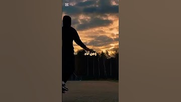 تلاوة هادئة 😌 - بصوت الشيخ محمد ايوب - القرآن الكريم ❤️❤️❤️