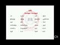 Tamil 6th Std சொல்லும் பொருளும் ( பருவம் - 1,2,3 ) | TNPSC | INTELLECT ACADEMY