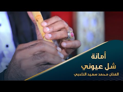 أمانة شل عيوني الفنان عارف فرج أفراح آل عيدروس تصوير وسيط ميديا حضرموت سهرة طرب