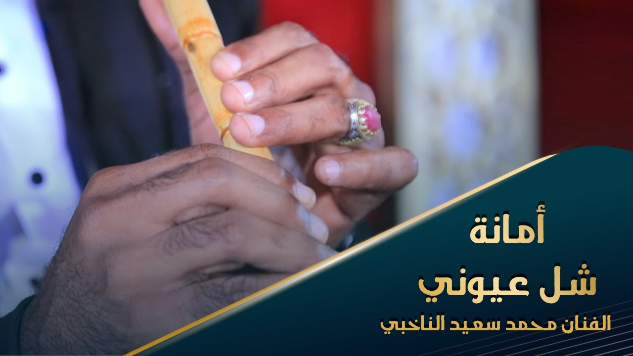 أمانة شل عيوني الفنان عارف فرج #أفراح #آل_عيدروس #تصوير #وسيط_ميديا #حضرموت #سهرة #طرب