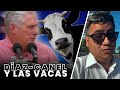 La D!CT4DURA tiene un PROBLEMA Grande➡️Respondiendo a DÍAZ- CANEL con PRUEBAS ➡️(Ya NADIE les CREE)