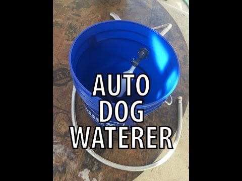 auto-dog-water-bowl