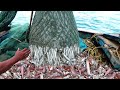 TRAWL NET FISHING - EPISODE 10