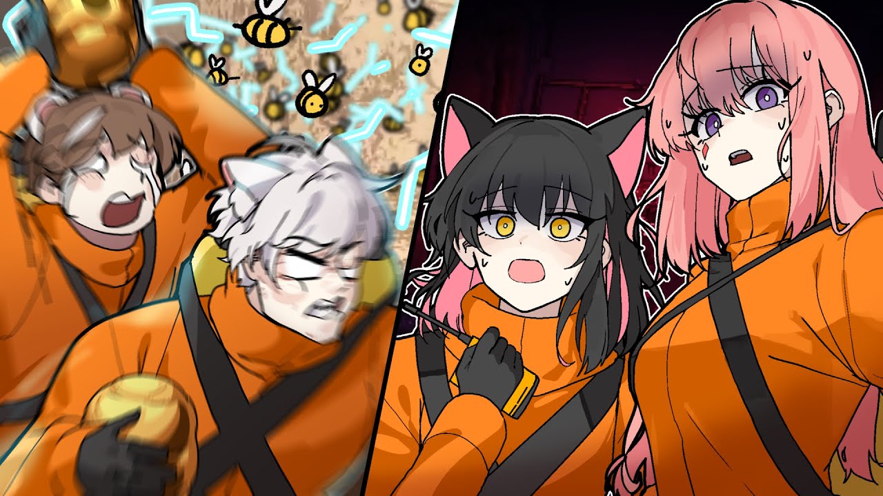 세상에서 제일 위험한 벌집