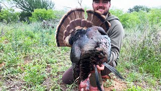 Giant DOUBLE BEARD Turkey {Catch Clean Cook} Turkey Jerky