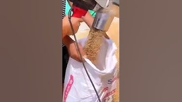 MOVE GRAIN WITH EASE😎 India
