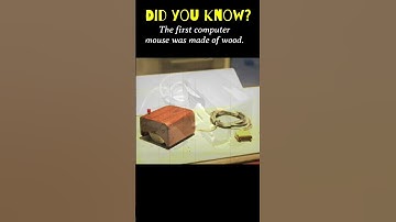 Did you know? The first computer mouse was made of wood? #history #facts