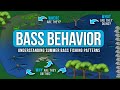 Understanding Bass BEHAVIOR 🤔 – WHERE are they? and What are they DOING?