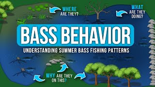 Understanding Bass BEHAVIOR 🤔 - WHERE are they? and What are they DOING?