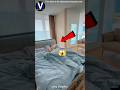 😱He Refuse To Touch The Ground!! #viralshorts #facts #ytshorts #popular #education
