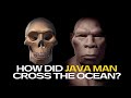 How Did 'Java Man' Cross the Open Ocean of Indonesia?