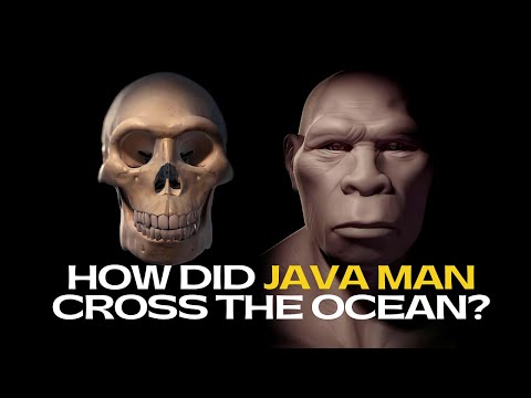 How Did &rsquo;Java Man&rsquo; Cross the Open Ocean of Indonesia?
