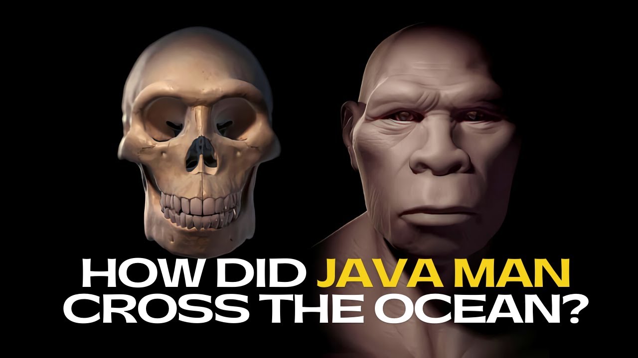 Java man