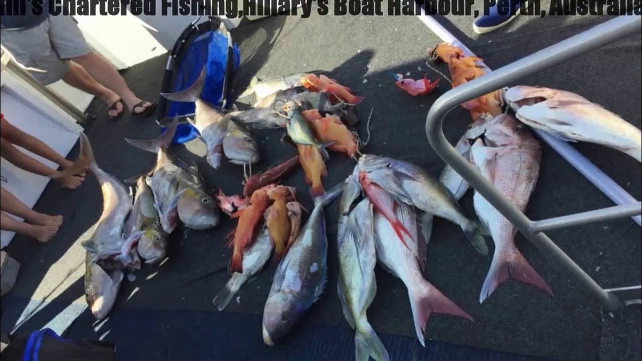 Mills Charters Deep Sea Fishing, Perth,