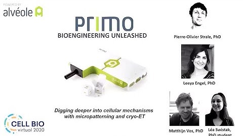 Alvéole Tech Talk: Digging deeper into cellular mechanisms with micropatterning and cryo-ET