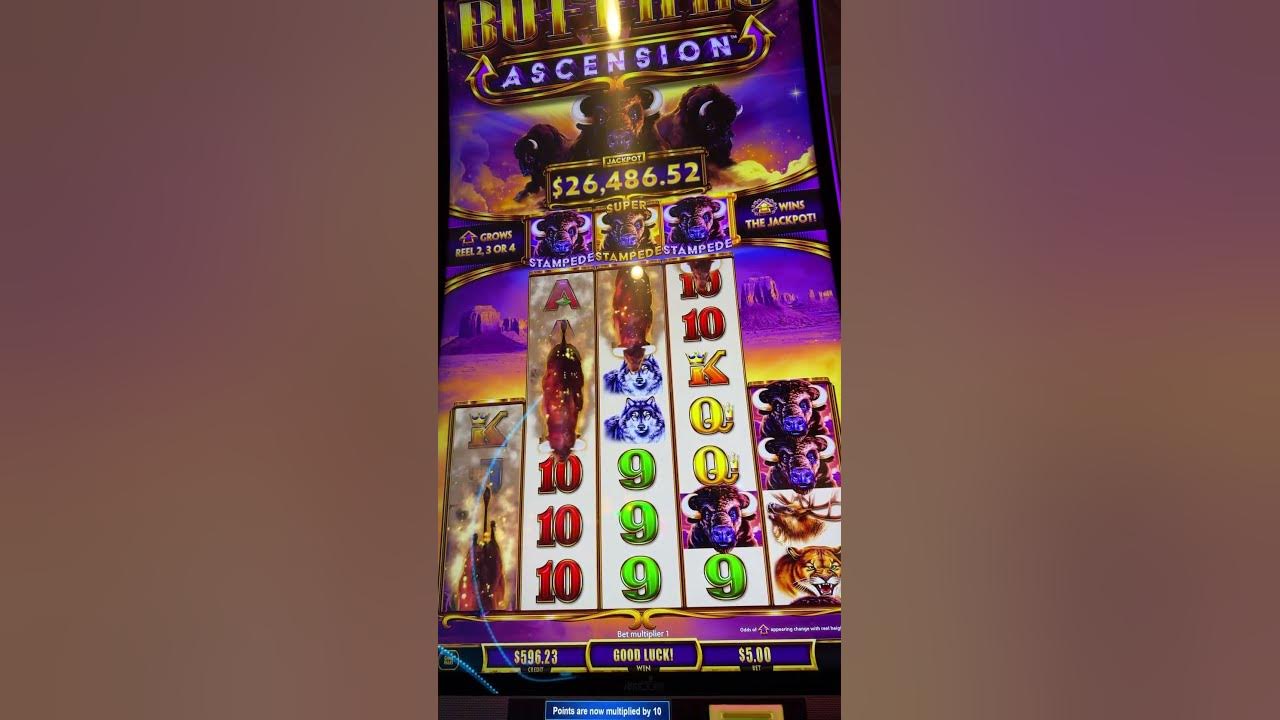 $5 Buffalo Ascension! Jackpot Handpay Slot Machine Win! Rio Hotel ...