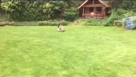 Creative Kids on Oxboard