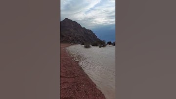 امطار الخير السعودية 1444هـ…القارئ رمضان شكور