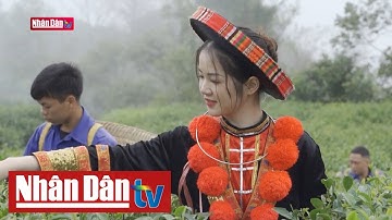 Kết nối - Nâng chất chuỗi cung ứng hàng Việt | Nhịp sống Miền Đông | 6 vùng kinh tế