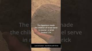Straw in Egypt’s Bricks Did Hebrews Build Them Shocking Find