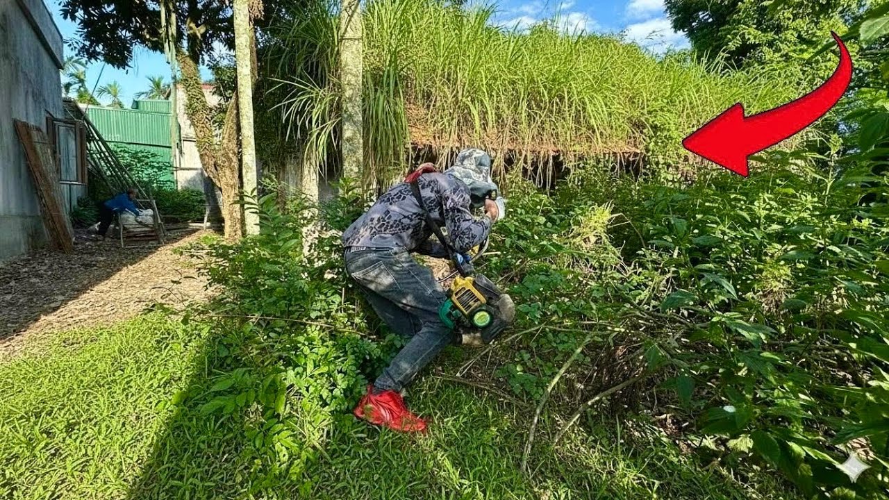 The mystery inside this house overgrown like a jungle | Satisfying Tree ...