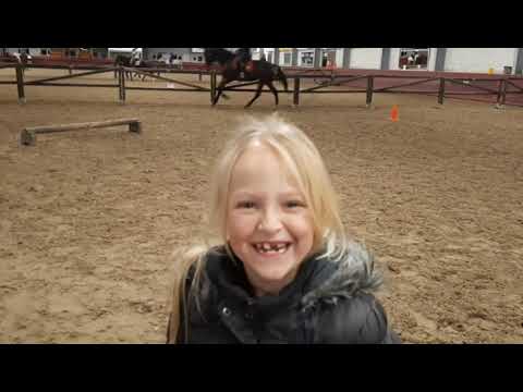 Video: Argentijnse Polo Pony Paardenras Hypoallergeen, Gezondheid En Levensduur