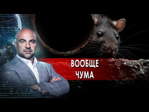 Вообще чума. "Как устроен мир" с Тимофеем Баженовым. (24.11.2021).