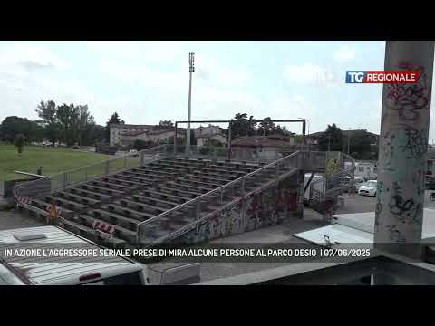 IN AZIONE L'AGGRESSORE SERIALE: PRESE DI MIRA ALCUNE PERSONE AL PARCO DESIO  | 07/06/2025