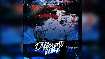 Fwc Lonnie "Different Vibes" (Official Audio)