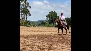 Assessoria com Edvaldo Gonçalves (Val) - Troca de mão