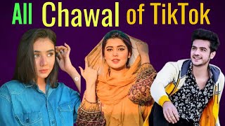 Pakistani Chawal TikTokers of TikTok Roast \/\/\/ Vicky Roasting